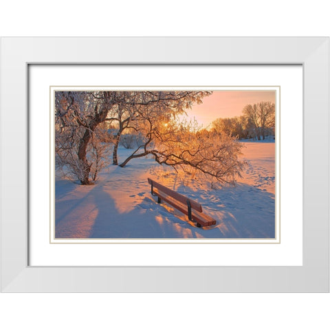 Canada-Manitoba-Winnipeg Hoarfrost at sunrise with bench White Modern Wood Framed Art Print with Double Matting by Jaynes Gallery
