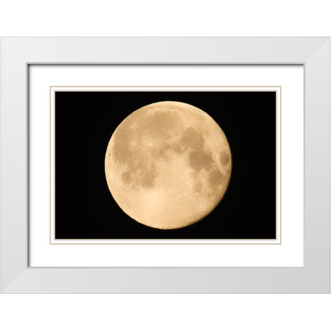 Canada-Manitoba-Winnipeg Close-up of full moon White Modern Wood Framed Art Print with Double Matting by Jaynes Gallery