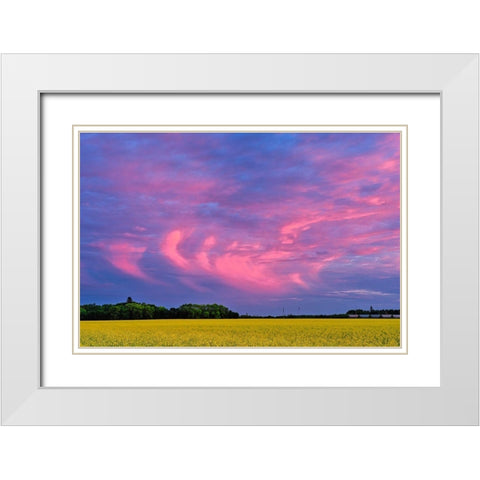 Canada-Manitoba-Dugald Clouds at sunset on prairie White Modern Wood Framed Art Print with Double Matting by Jaynes Gallery