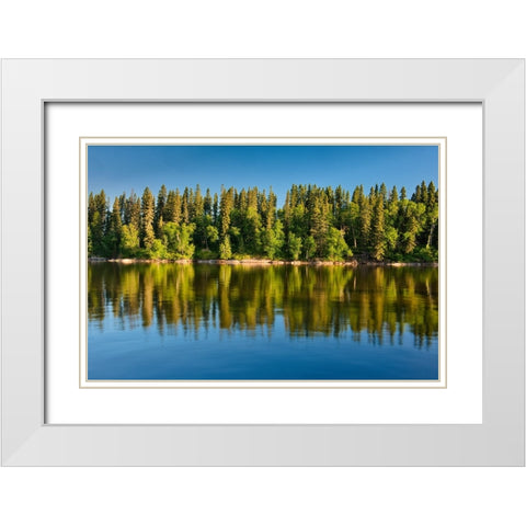 Canada- Manitoba- Paint Lake Provincial Park. Forest reflections on Paint Lake. White Modern Wood Framed Art Print with Double Matting by Jaynes Gallery