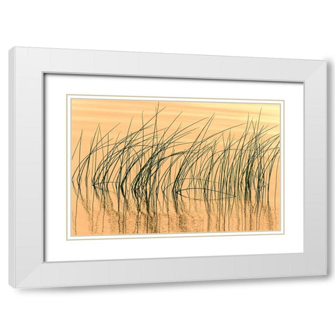 Canada- Manitoba- Wekusko Falls Provincial Park. Reeds reflect patterns in Wekusko Lake. White Modern Wood Framed Art Print with Double Matting by Jaynes Gallery