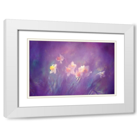 Canada, New Brunswick Abstract of daffodils White Modern Wood Framed Art Print with Double Matting by Needle, Charles