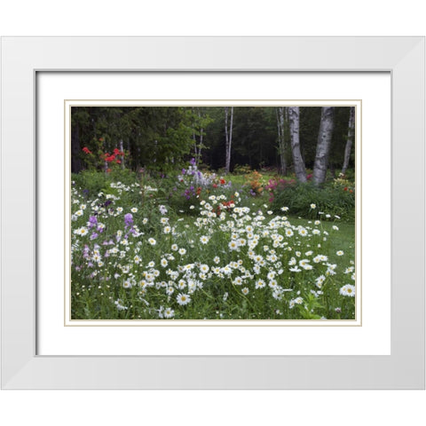 Canada, New Brunswick, garden and forest White Modern Wood Framed Art Print with Double Matting by Anon, Ellen