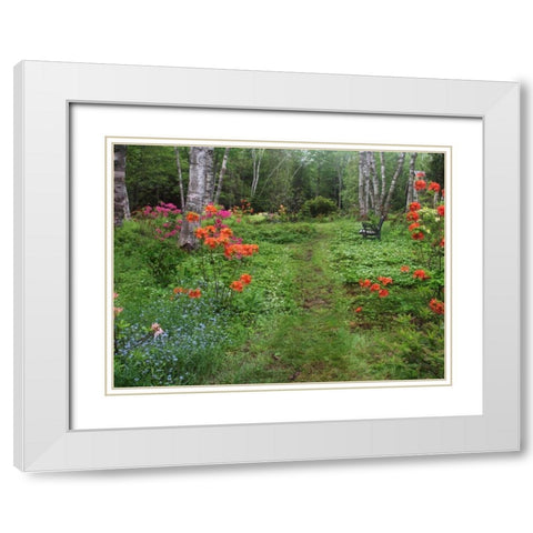 Canada, New Brunswick, garden and forest White Modern Wood Framed Art Print with Double Matting by Anon, Ellen