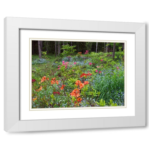 Canada, New Brunswick, garden and forest White Modern Wood Framed Art Print with Double Matting by Anon, Ellen