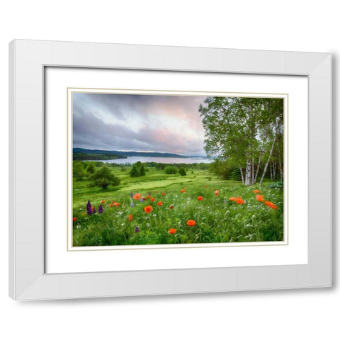 Canada, New Brunswick Landscape of meadow White Modern Wood Framed Art Print with Double Matting by Anon, Ellen