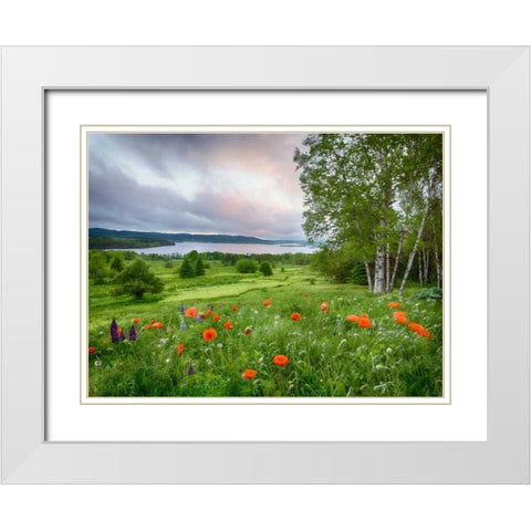Canada, New Brunswick Landscape of meadow White Modern Wood Framed Art Print with Double Matting by Anon, Ellen