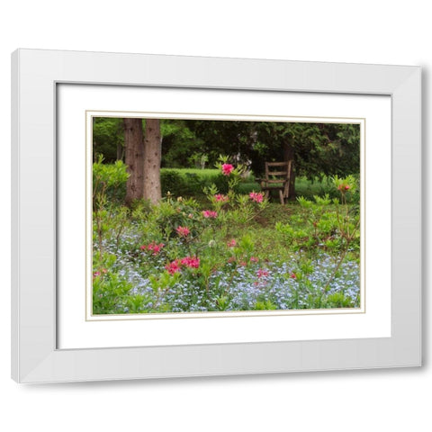 Canada, New Brunswick, garden and forest White Modern Wood Framed Art Print with Double Matting by Anon, Ellen