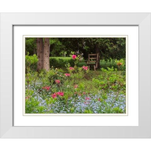 Canada, New Brunswick, garden and forest White Modern Wood Framed Art Print with Double Matting by Anon, Ellen