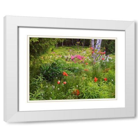 Canada, New Brunswick, garden and forest White Modern Wood Framed Art Print with Double Matting by Anon, Ellen