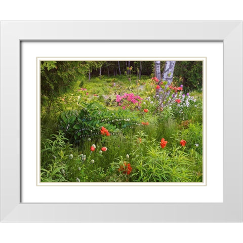 Canada, New Brunswick, garden and forest White Modern Wood Framed Art Print with Double Matting by Anon, Ellen