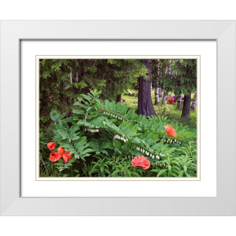 Canada, New Brunswick Wildflowers White Modern Wood Framed Art Print with Double Matting by Anon, Ellen