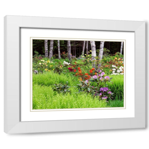 Canada, New Brunswick, garden and forest White Modern Wood Framed Art Print with Double Matting by Anon, Ellen