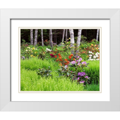 Canada, New Brunswick, garden and forest White Modern Wood Framed Art Print with Double Matting by Anon, Ellen
