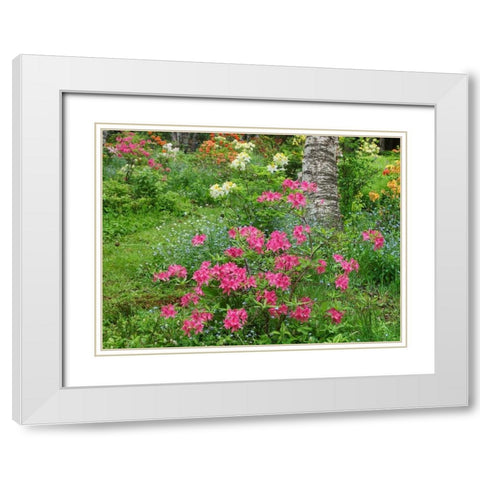 Canada, New Brunswick, Garden flowers White Modern Wood Framed Art Print with Double Matting by Anon, Ellen