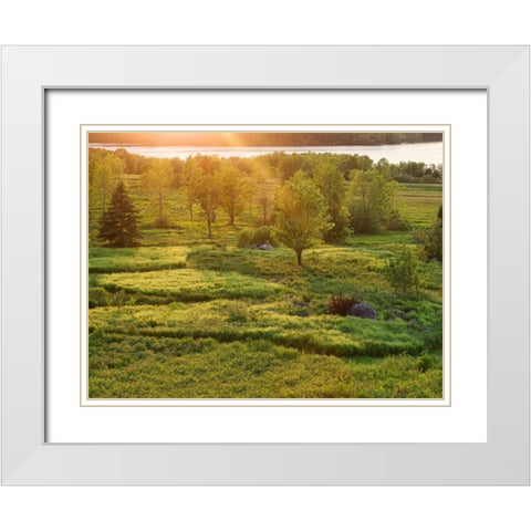 Canada, New Brunswick Sunset over St John River White Modern Wood Framed Art Print with Double Matting by Anon, Ellen