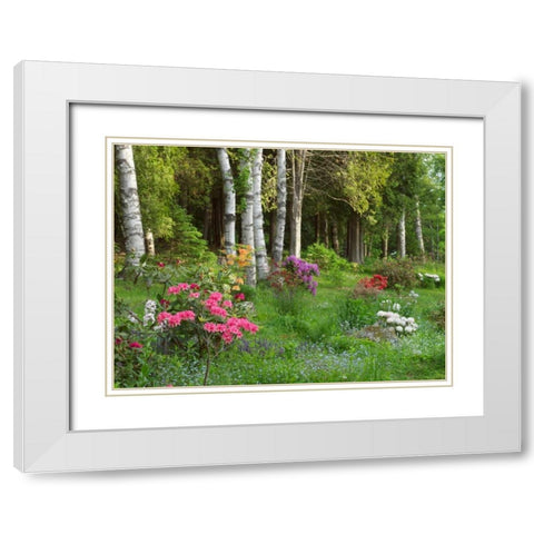 Canada, New Brunswick, Forest and garden White Modern Wood Framed Art Print with Double Matting by Anon, Ellen