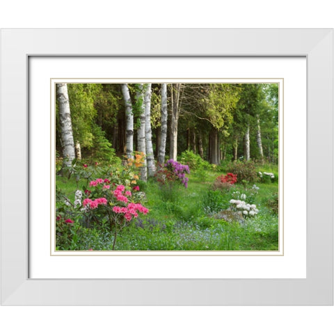 Canada, New Brunswick, Forest and garden White Modern Wood Framed Art Print with Double Matting by Anon, Ellen