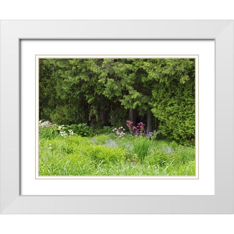 Canada, New Brunswick, Forest and garden White Modern Wood Framed Art Print with Double Matting by Anon, Ellen