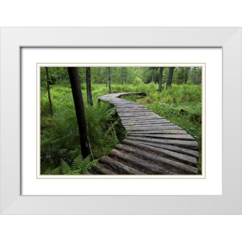 Canada, New Brunswick Log walkway in forest White Modern Wood Framed Art Print with Double Matting by Anon, Ellen