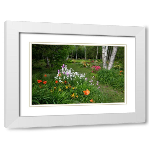 Canada, New Brunswick Garden scenic White Modern Wood Framed Art Print with Double Matting by Anon, Ellen