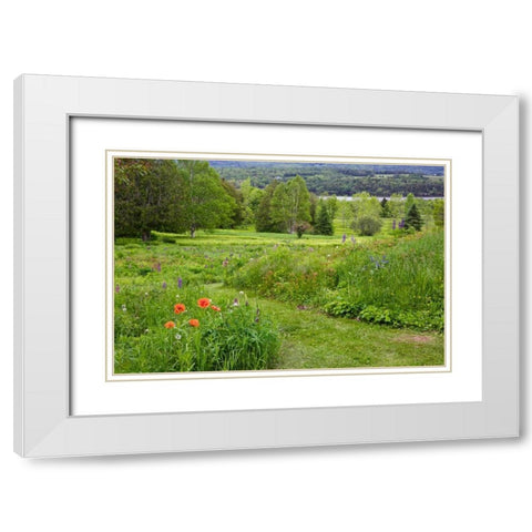 Canada, New Brunswick Landscape of meadow White Modern Wood Framed Art Print with Double Matting by Anon, Ellen