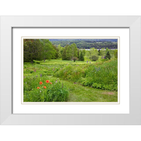 Canada, New Brunswick Landscape of meadow White Modern Wood Framed Art Print with Double Matting by Anon, Ellen