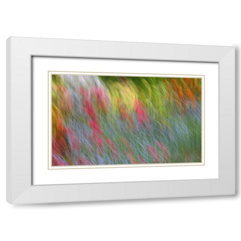 Canada Abstract blur of garden colors White Modern Wood Framed Art Print with Double Matting by Anon, Ellen