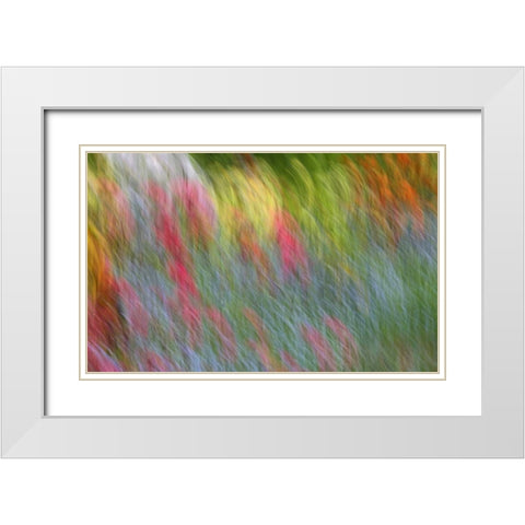 Canada Abstract blur of garden colors White Modern Wood Framed Art Print with Double Matting by Anon, Ellen