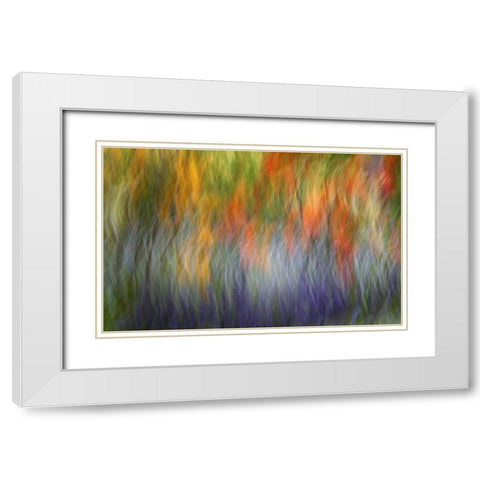 Canada Abstract blur of garden colors White Modern Wood Framed Art Print with Double Matting by Anon, Ellen