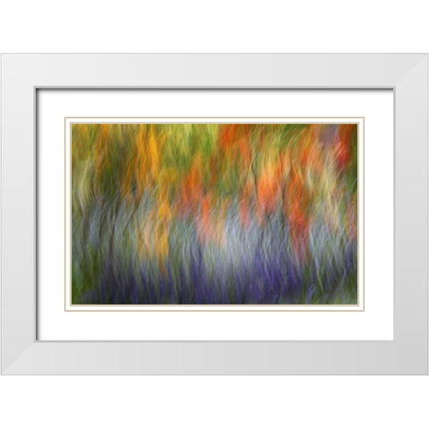 Canada Abstract blur of garden colors White Modern Wood Framed Art Print with Double Matting by Anon, Ellen