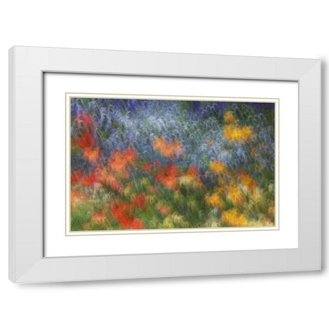 Canada Abstract blur of garden colors White Modern Wood Framed Art Print with Double Matting by Anon, Ellen