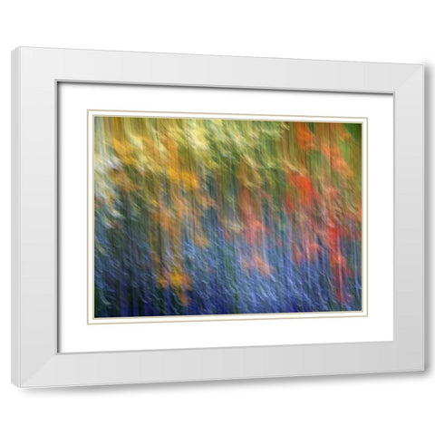 Canada Abstract blur of garden colors White Modern Wood Framed Art Print with Double Matting by Anon, Ellen