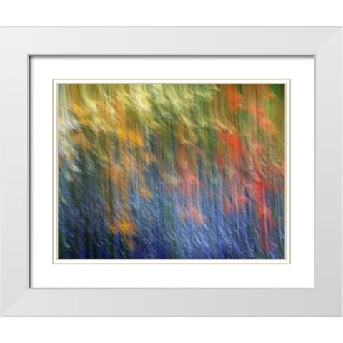 Canada Abstract blur of garden colors White Modern Wood Framed Art Print with Double Matting by Anon, Ellen