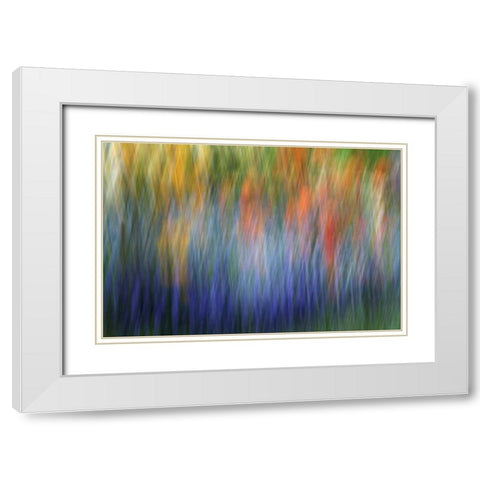 Canada Abstract blur of garden colors White Modern Wood Framed Art Print with Double Matting by Anon, Ellen