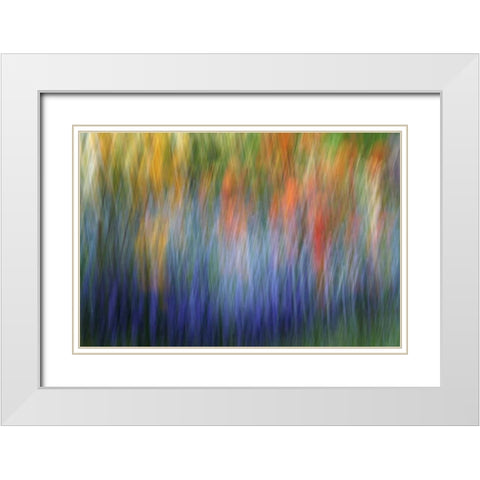 Canada Abstract blur of garden colors White Modern Wood Framed Art Print with Double Matting by Anon, Ellen