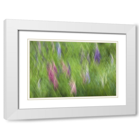 Canada Abstract blur of garden colors White Modern Wood Framed Art Print with Double Matting by Anon, Ellen