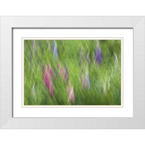 Canada Abstract blur of garden colors White Modern Wood Framed Art Print with Double Matting by Anon, Ellen