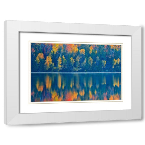 Canada-New Brunswick-Mactaquac Autumn forest reflections on St John River White Modern Wood Framed Art Print with Double Matting by Jaynes Gallery