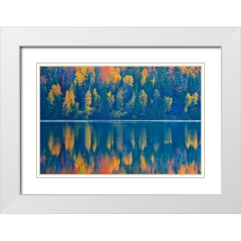 Canada-New Brunswick-Mactaquac Autumn forest reflections on St John River White Modern Wood Framed Art Print with Double Matting by Jaynes Gallery