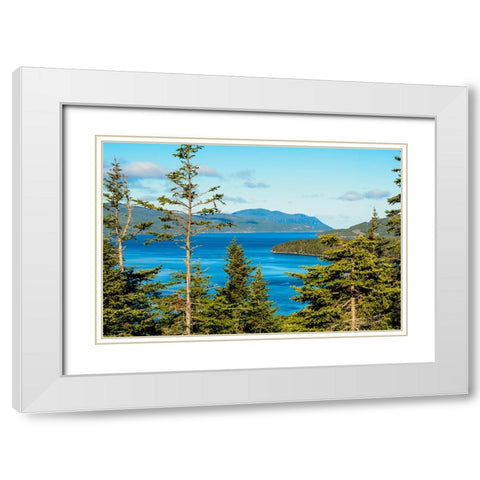 Gros Morne National Park-Wild Cove on Bonne Bay-Newfoundland-Canada White Modern Wood Framed Art Print with Double Matting by DeFreitas, Michael