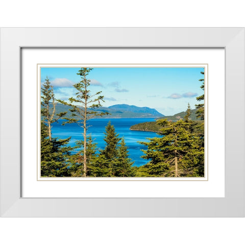 Gros Morne National Park-Wild Cove on Bonne Bay-Newfoundland-Canada White Modern Wood Framed Art Print with Double Matting by DeFreitas, Michael