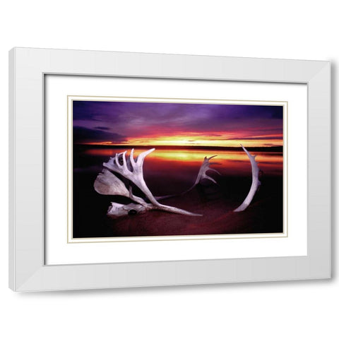 Canada, Whitefish Lake Sunset on caribou antlers White Modern Wood Framed Art Print with Double Matting by Welling, Dave