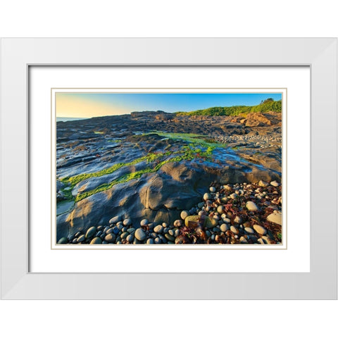 Canada-Nova Scotia Rocky shoreline along Bay of Fundy White Modern Wood Framed Art Print with Double Matting by Jaynes Gallery