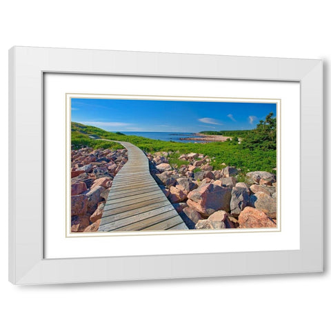 Canada-Nova Scotia-Cape Breton Island Wooden walkway along rocky shoreline White Modern Wood Framed Art Print with Double Matting by Jaynes Gallery