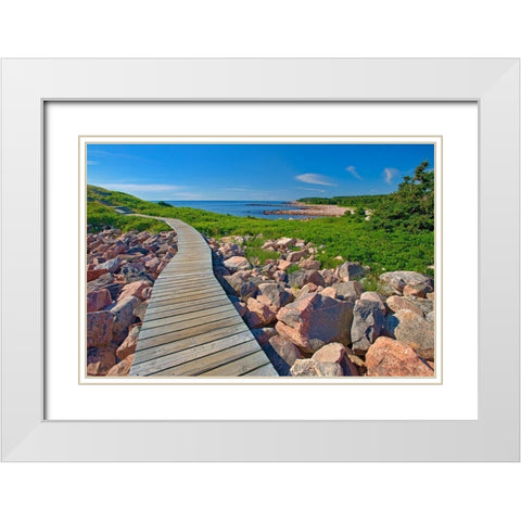 Canada-Nova Scotia-Cape Breton Island Wooden walkway along rocky shoreline White Modern Wood Framed Art Print with Double Matting by Jaynes Gallery