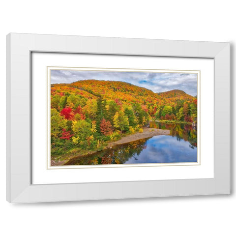 Canada-Nova Scotia Indian Brook and forest in autumn White Modern Wood Framed Art Print with Double Matting by Jaynes Gallery