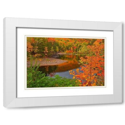 Canada-Nova Scotia Indian Brook and forest in autumn White Modern Wood Framed Art Print with Double Matting by Jaynes Gallery