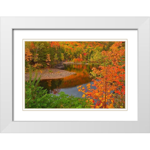 Canada-Nova Scotia Indian Brook and forest in autumn White Modern Wood Framed Art Print with Double Matting by Jaynes Gallery