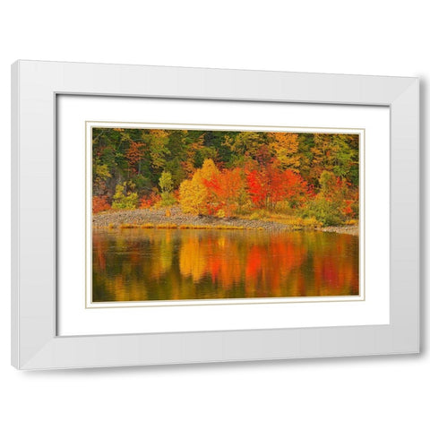 Canada-Nova Scotia Indian Brook and forest in autumn White Modern Wood Framed Art Print with Double Matting by Jaynes Gallery